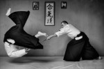 Aikido Plr Articles V2