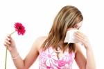 Allergies Plr Articles V6