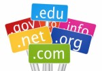 Domain Names Plr Articles V3