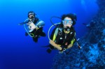 Scuba Diving Plr Articles V5