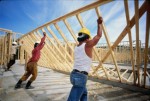 Construction Jobs Plr Articles 