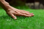 Starting A Lawn Care Business Plr Articles 