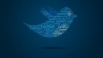 The Twitter Craze Plr Articles 