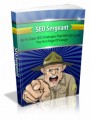 SEO Sergeant: Up To Date SEO Strategies That Will Get You On The First Page Of Google Plr Ebook