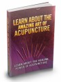 Learn About The Amazing Art Of Acupuncture: Learn About The Healing Power Of Acupuncture Plr Ebook