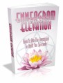 Enneagram Elevation: How To Use The Enneagram To Uplife You Spiritually Plr Ebook