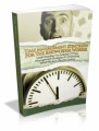 Time Management Strategies For The Knowledge Worker Plr Ebook