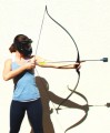 Archery Plr Articles v3