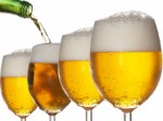 Beer Plr Articles v2