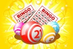 Bingo Plr Articles