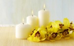 Candles Plr Articles v2