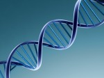 DNA Test Plr Articles