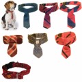 Dog Collars Plr Articles