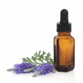 Essential Oil Plr Articles v2