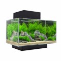 Fish Tanks Plr Articles v2