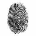 Forensics Plr Articles