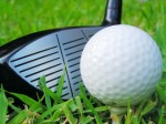 Golf Plr Articles v9