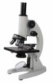 Microscopes Plr Articles