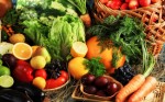 Organic Food Plr Articles v2