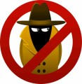 Spyware Plr Articles v2