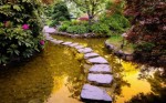 Water Gardens Plr Articles