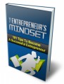 The Entrepreneur's Mindset PLR Ebook