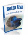 Betta Fish MRR Ebook