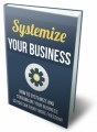 Systemize Your Business PLR Ebook