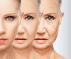 Anti Aging Plr Articles V5