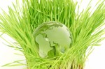 Green Topics Plr Articles