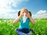 Allergies Plr Articles V7