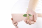 Fertility Plr Articles V3