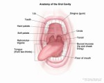 Oral Cancer Plr Articles
