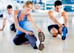 Fitness Plr Articles V7