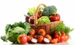 Vegetarian Plr Articles V3