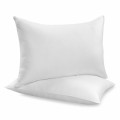 Pillows Plr Articles