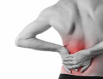 Back Pain Plr Articles V6