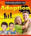 Introduction To Adoption Plr Ebook