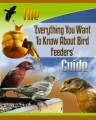 Feeding Birds Plr Ebook 