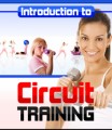 Introduction To Circuit Training Plr Ebook 