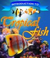 Introduction To Tropical Fish Plr Ebook