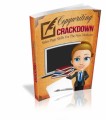 Copywriting Crackdown Resale Rights Ebook