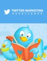 Twitter Marketing Excellence Personal Use Ebook