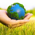 Eco Friendly Plr Articles V2