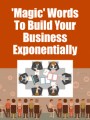 Magic Words To Build Your Business Exponentially PLR Ebook