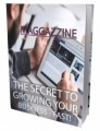 The Secret To Growing Your Business Fast PLR Ebook