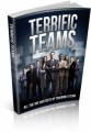 Terrific Teams Plr Ebook