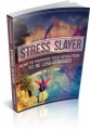 Stress Slayer Plr Ebook