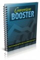 Conversion Booster PLR Ebook