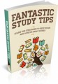 Fantastic Study Tips Plr Ebook